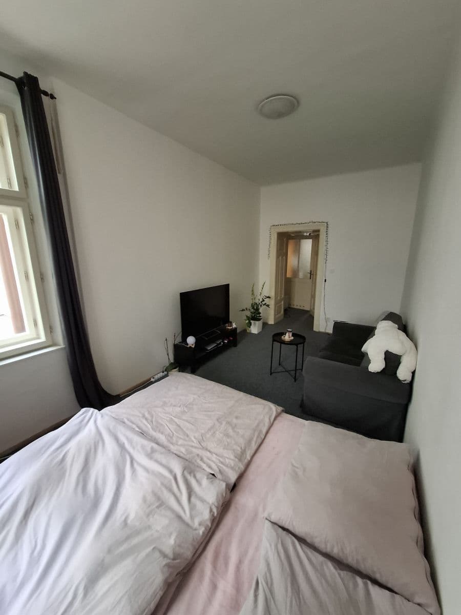 Prenájom bytu 1-izbový 44 m², Starobrněnská, Brno, Jihomoravský kraj Prenájom bytu 1-izbový 44 m², Starobrněnská, Brno, Jihomoravský kraj