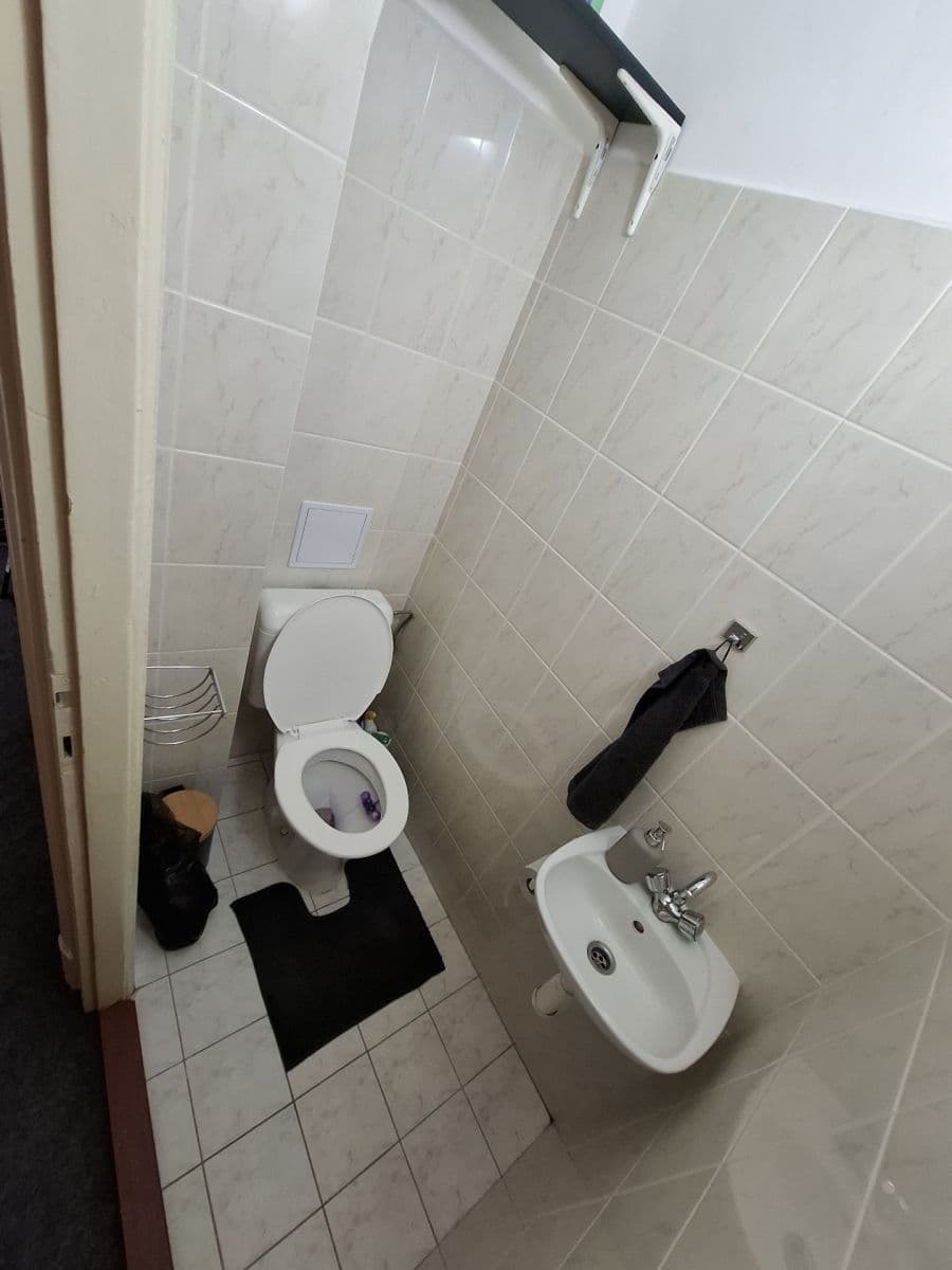 Prenájom bytu 1-izbový 44 m², Starobrněnská, Brno, Jihomoravský kraj Prenájom bytu 1-izbový 44 m², Starobrněnská, Brno, Jihomoravský kraj