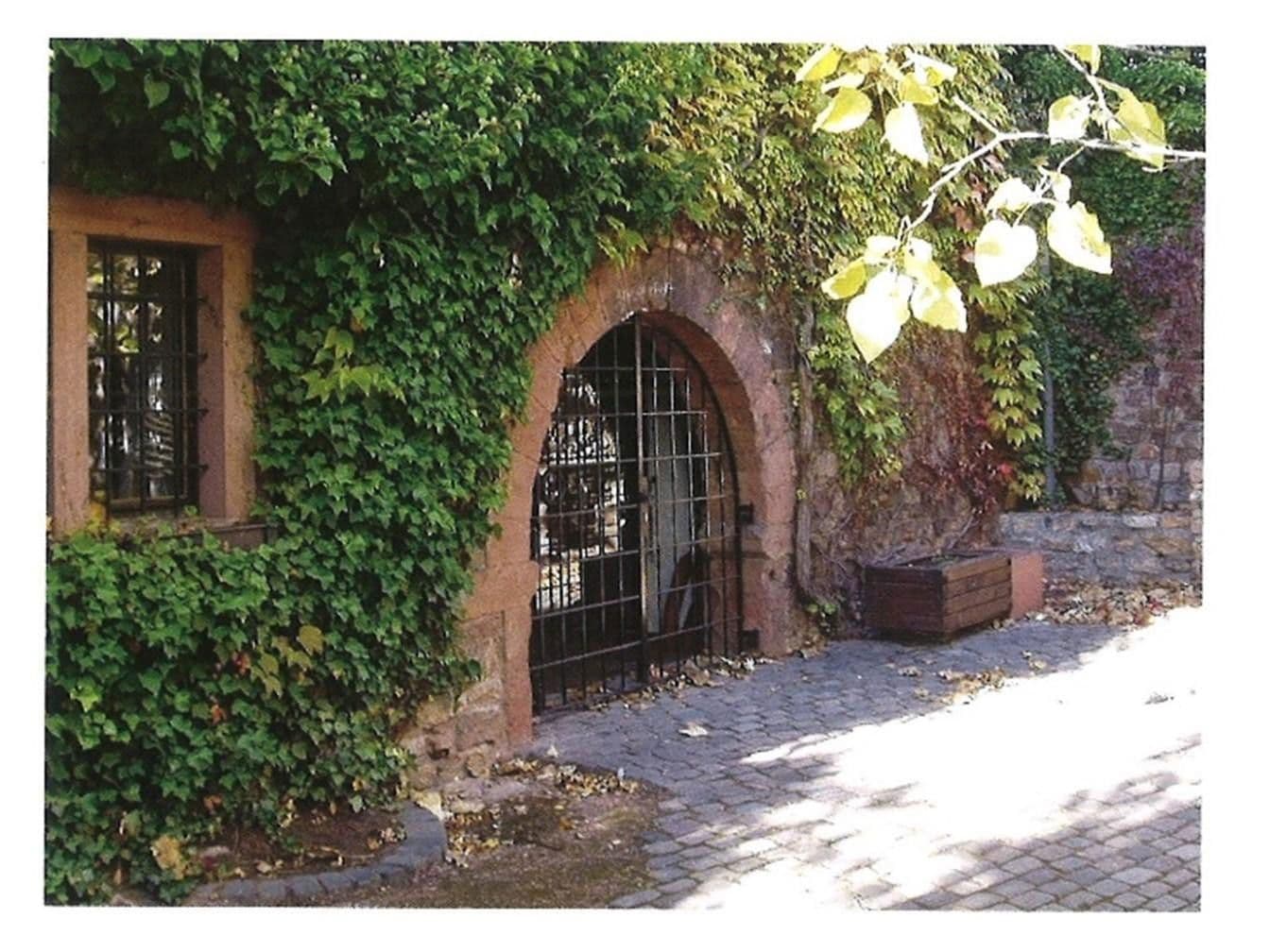 Predaj domu 360 m², pozemek 954 m², Graugasse 8, Oestrich-Winkel, Hesensko Predaj domu 360 m², pozemek 954 m², Graugasse 8, Oestrich-Winkel, Hesensko