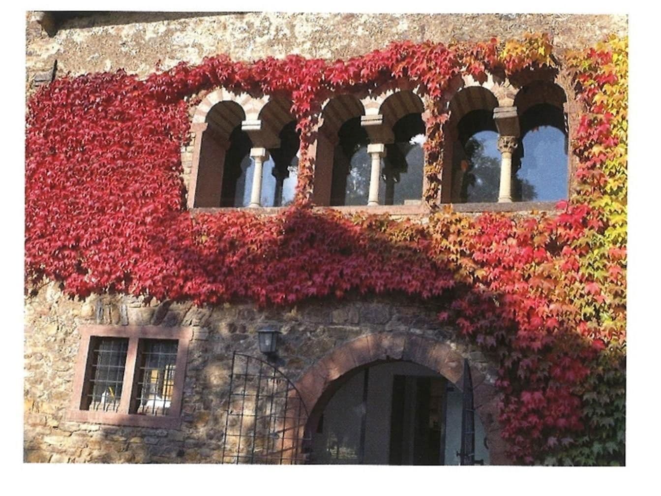 Predaj domu 360 m², pozemek 954 m², Graugasse 8, Oestrich-Winkel, Hesensko Predaj domu 360 m², pozemek 954 m², Graugasse 8, Oestrich-Winkel, Hesensko