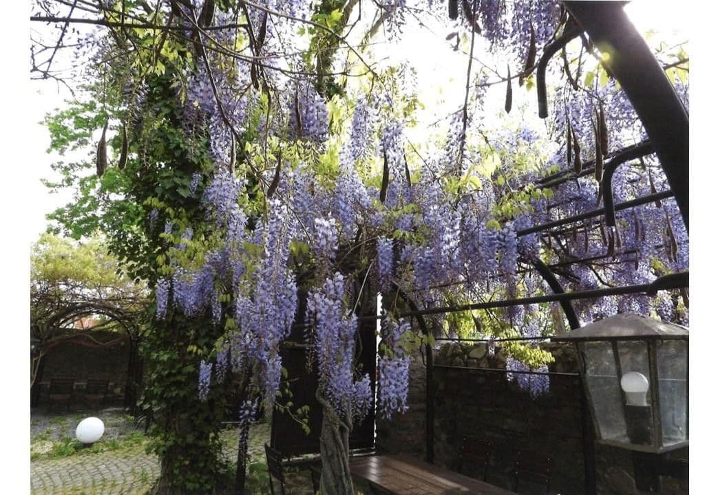 Predaj domu 360 m², pozemek 954 m², Graugasse 8, Oestrich-Winkel, Hesensko Predaj domu 360 m², pozemek 954 m², Graugasse 8, Oestrich-Winkel, Hesensko