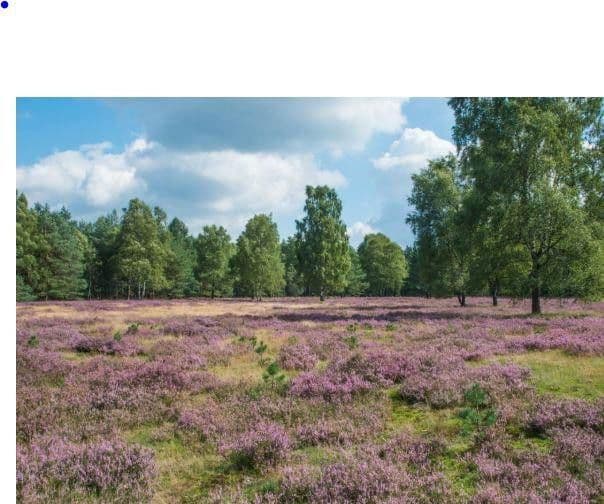 Prenájom domu 115 m², pozemek 600 m², Paderborn, Severné Porýnie - Westfálsko Prenájom domu 115 m², pozemek 600 m², Paderborn, Severné Porýnie - Westfálsko