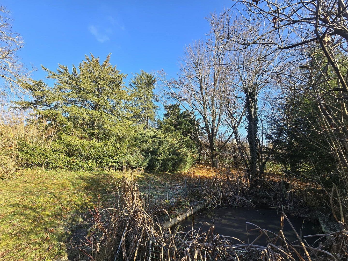 Predaj domu 321 m², pozemek 2.441 m², Triefenstein, Bavorsko Predaj domu 321 m², pozemek 2.441 m², Triefenstein, Bavorsko