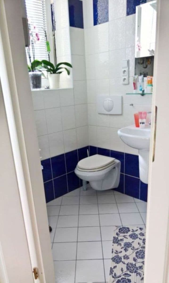 Prenájom bytu 1-izbový 43 m², Řehořova, Praha, Praha Prenájom bytu 1-izbový 43 m², Řehořova, Praha, Praha