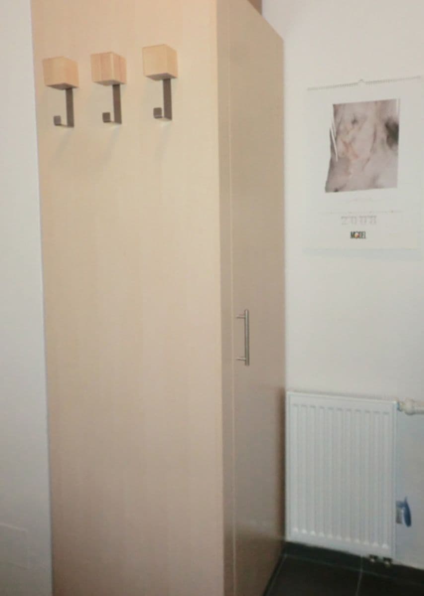 Prenájom bytu 1-izbový 49 m², U Zátiší, Praha, Praha Prenájom bytu 1-izbový 49 m², U Zátiší, Praha, Praha