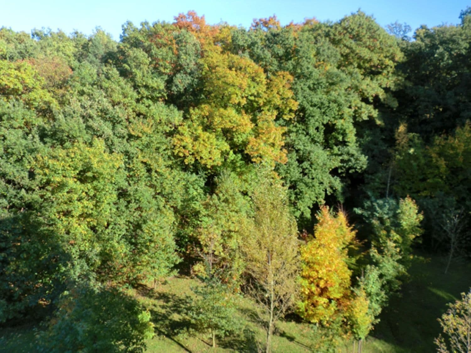 Prenájom bytu 1-izbový 49 m², U Zátiší, Praha, Praha Prenájom bytu 1-izbový 49 m², U Zátiší, Praha, Praha