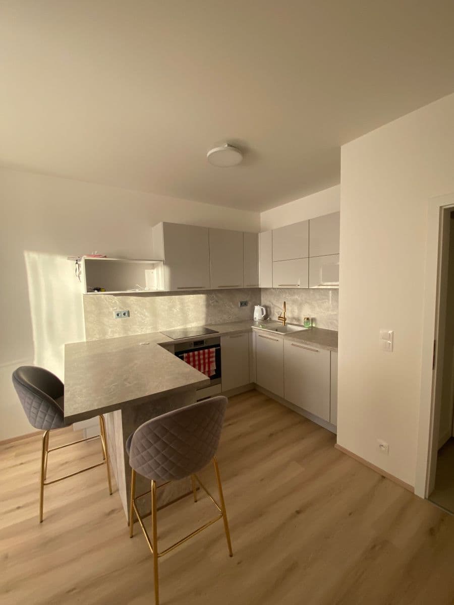 Prenájom bytu 1-izbový 32 m², Sobí, Praha, Praha Prenájom bytu 1-izbový 32 m², Sobí, Praha, Praha