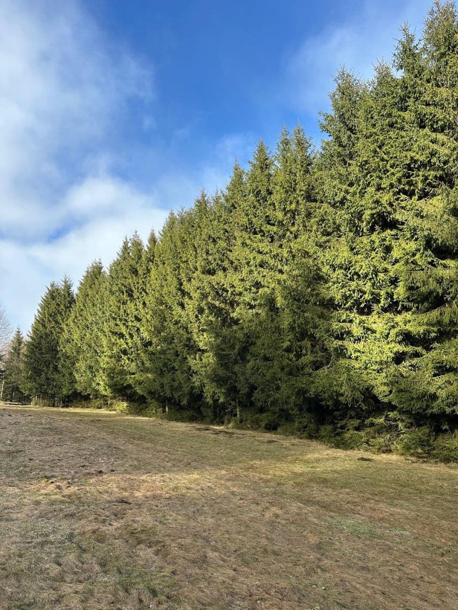 Predaj pozemku 11.665 m², Červený Kostelec, Královéhradecký kraj Predaj pozemku 11.665 m², Červený Kostelec, Královéhradecký kraj