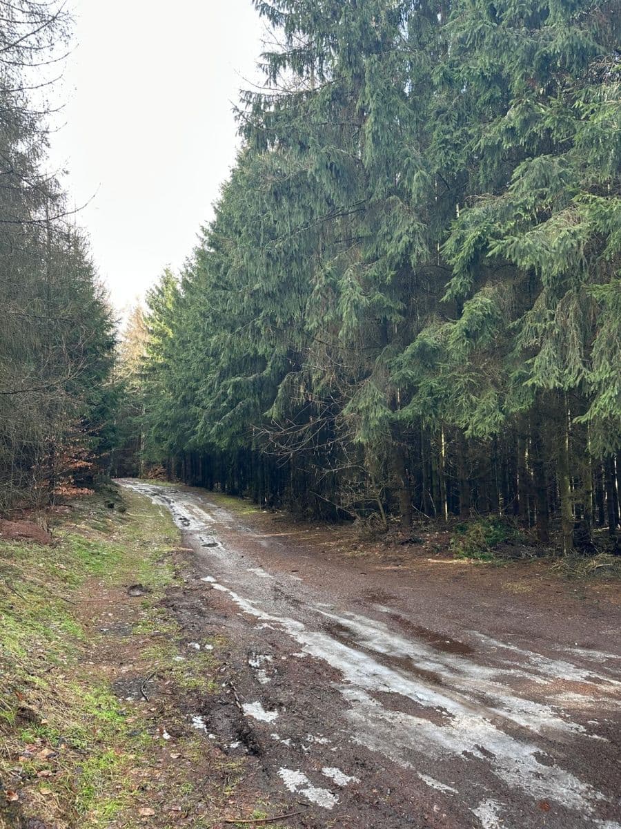 Predaj pozemku 11.665 m², Červený Kostelec, Královéhradecký kraj Predaj pozemku 11.665 m², Červený Kostelec, Královéhradecký kraj