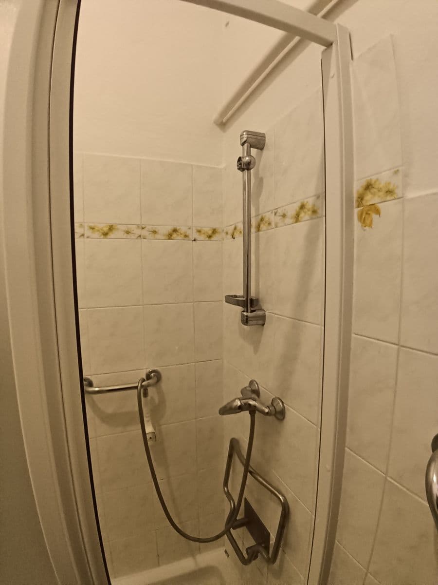 Prenájom bytu 1-izbový 56 m², Čajkovského, Praha, Praha Prenájom bytu 1-izbový 56 m², Čajkovského, Praha, Praha