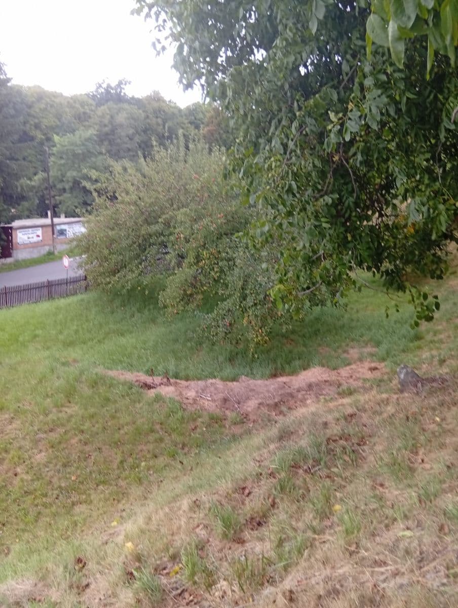 Prenájom pozemku 1.402 m², Na Odboji, Březnice, Středočeský kraj Prenájom pozemku 1.402 m², Na Odboji, Březnice, Středočeský kraj