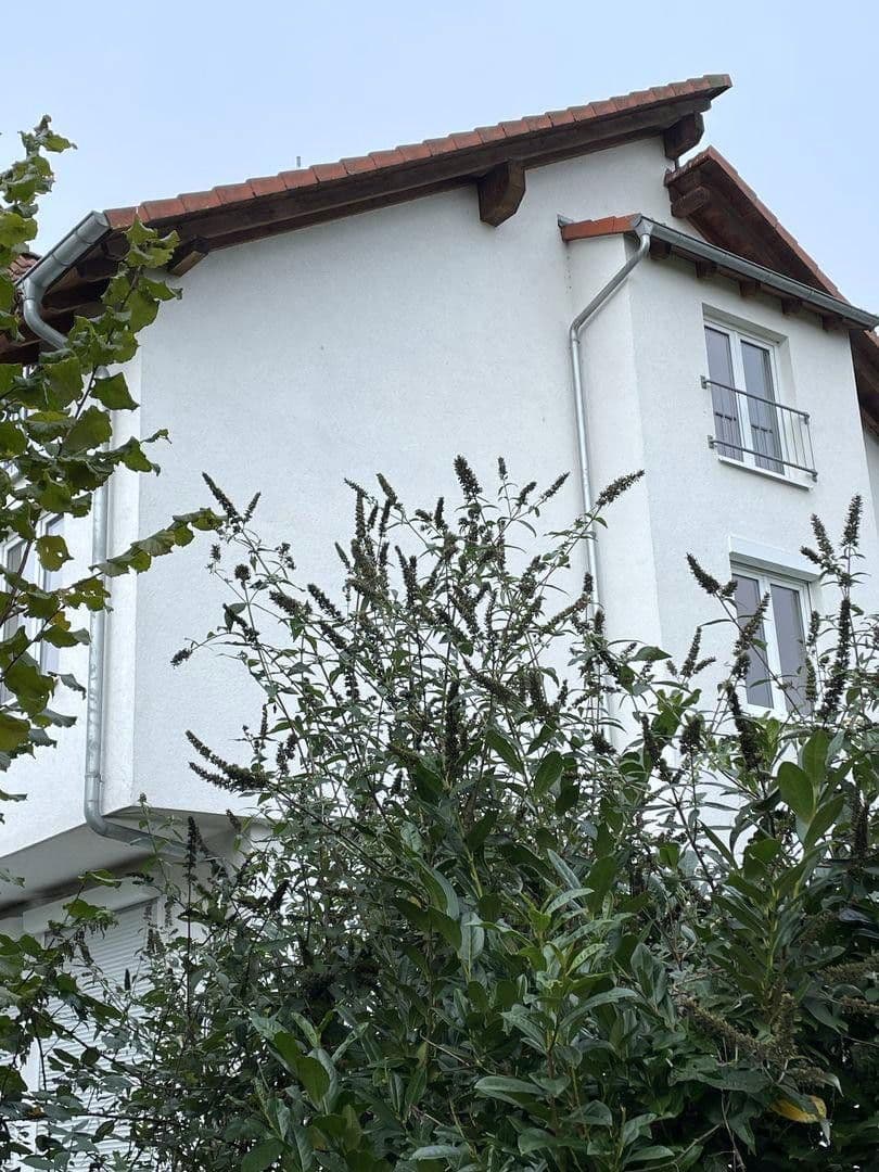 Predaj domu 160 m², pozemek 300 m², Groß-Zimmern, Hesensko Predaj domu 160 m², pozemek 300 m², Groß-Zimmern, Hesensko