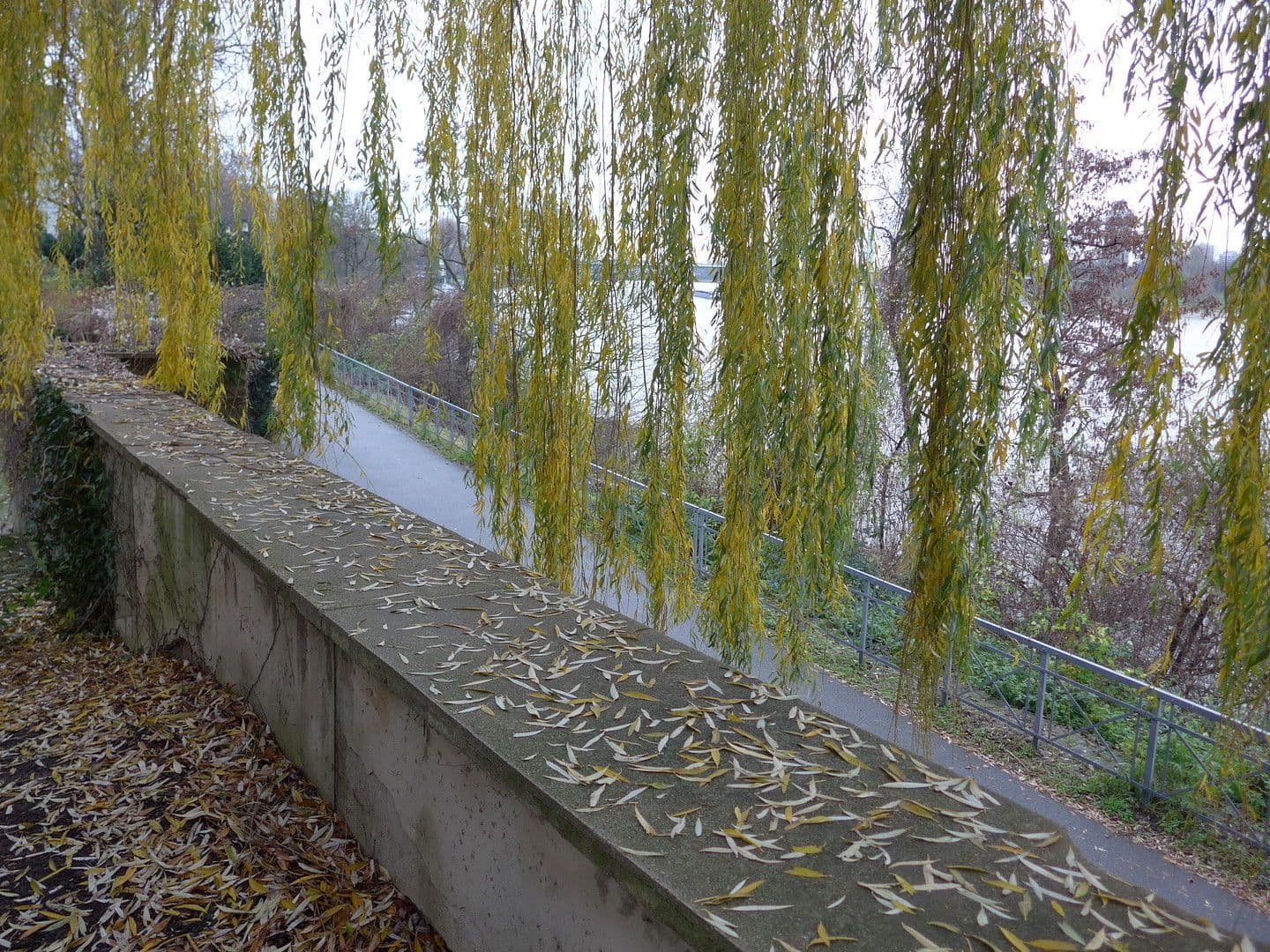 Prenájom bytu 1-izbový 42 m², Düsseldorfer Str. 49, Köln, Severné Porýnie - Westfálsko Prenájom bytu 1-izbový 42 m², Düsseldorfer Str. 49, Köln, Severné Porýnie - Westfálsko