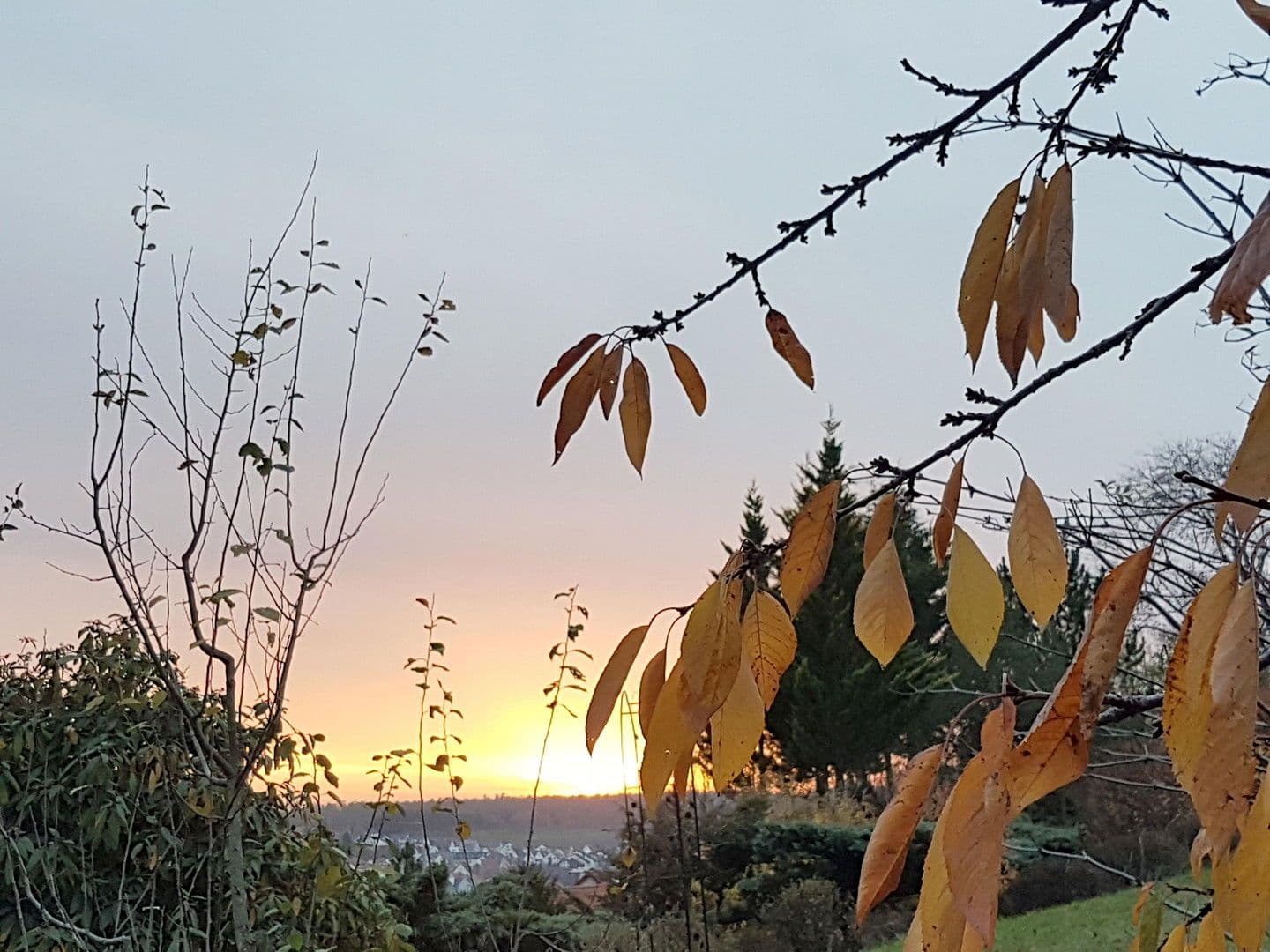 Prenájom domu 259 m², pozemek 1.800 m², Wimsheim, Bádensko-Wurttembersko Prenájom domu 259 m², pozemek 1.800 m², Wimsheim, Bádensko-Wurttembersko