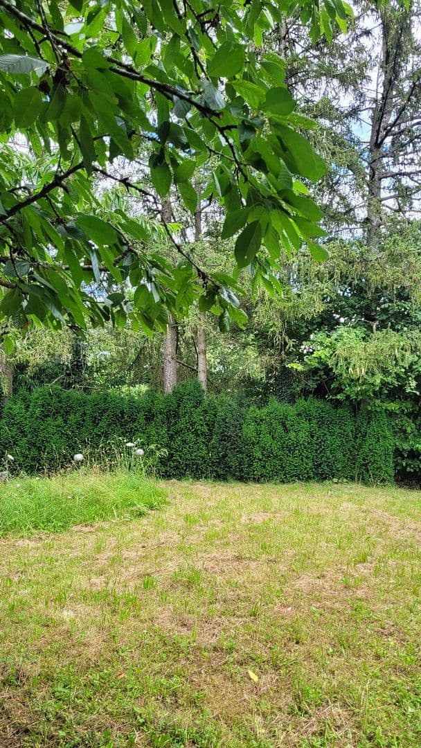 Prenájom domu 259 m², pozemek 1.800 m², Wimsheim, Bádensko-Wurttembersko Prenájom domu 259 m², pozemek 1.800 m², Wimsheim, Bádensko-Wurttembersko