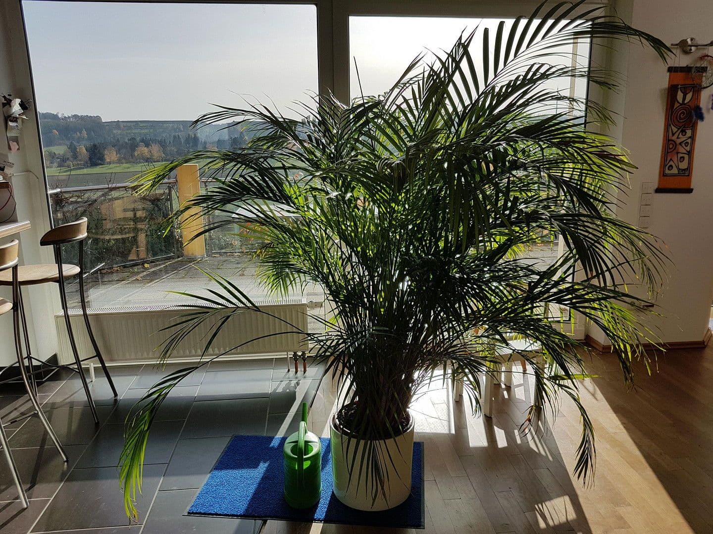 Prenájom domu 259 m², pozemek 1.800 m², Wimsheim, Bádensko-Wurttembersko Prenájom domu 259 m², pozemek 1.800 m², Wimsheim, Bádensko-Wurttembersko