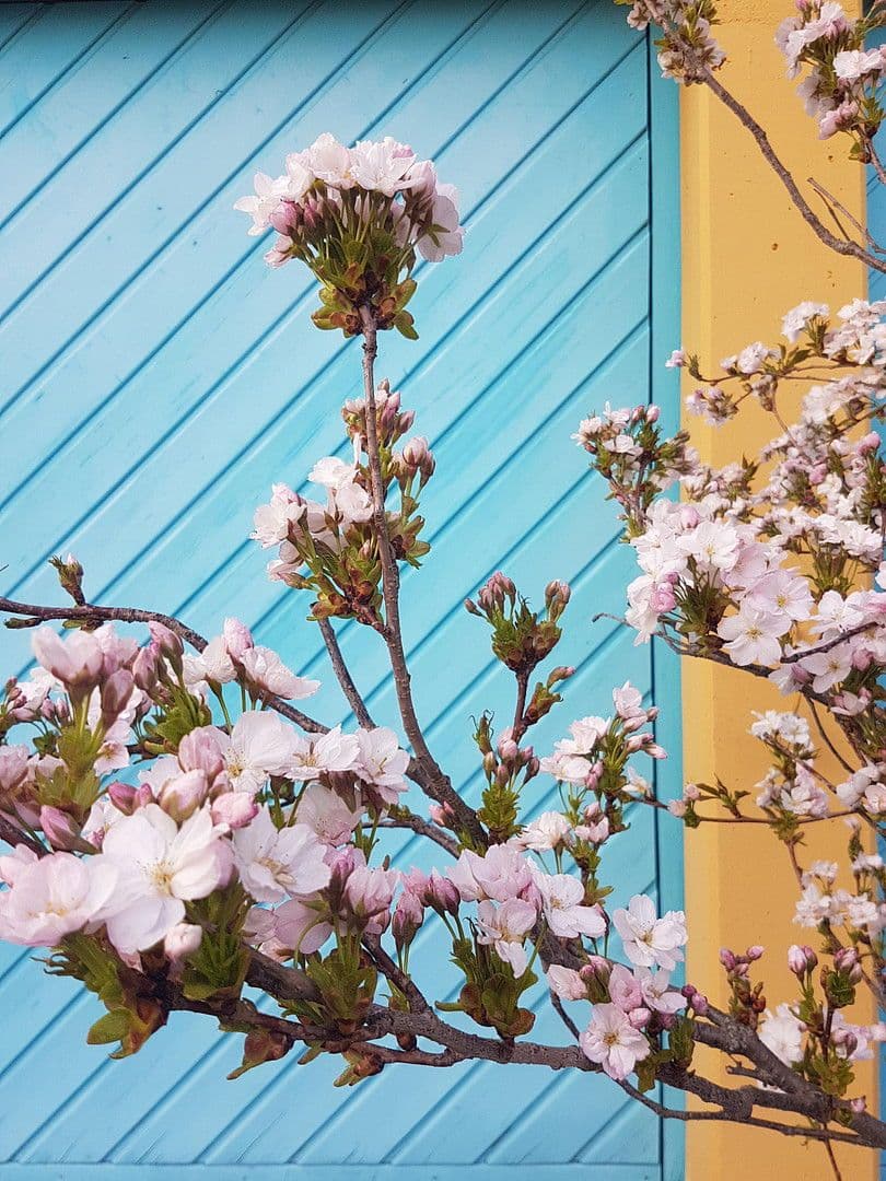 Prenájom domu 259 m², pozemek 1.800 m², Wimsheim, Bádensko-Wurttembersko Prenájom domu 259 m², pozemek 1.800 m², Wimsheim, Bádensko-Wurttembersko