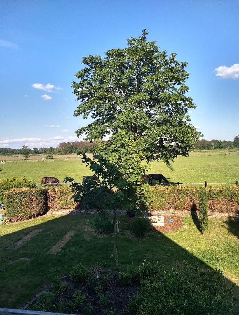 Prenájom bytu 6-izbový 150 m², Fürstengrund 18, Nordwalde, Severné Porýnie - Westfálsko Prenájom bytu 6-izbový 150 m², Fürstengrund 18, Nordwalde, Severné Porýnie - Westfálsko