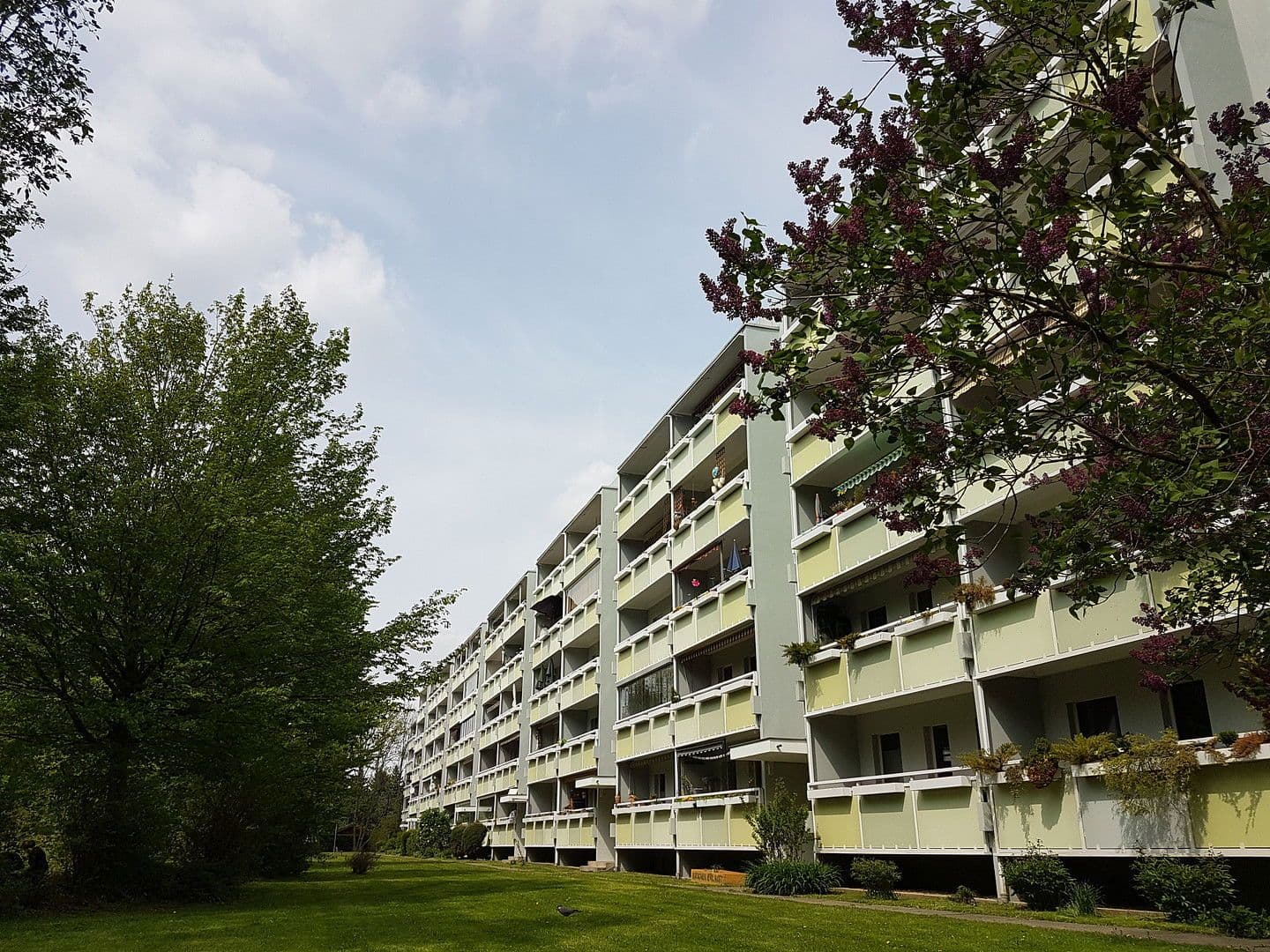 Prenájom bytu 3-izbový 64 m², Otto - Dix - Ring, Dresden, Sasko Prenájom bytu 3-izbový 64 m², Otto - Dix - Ring, Dresden, Sasko