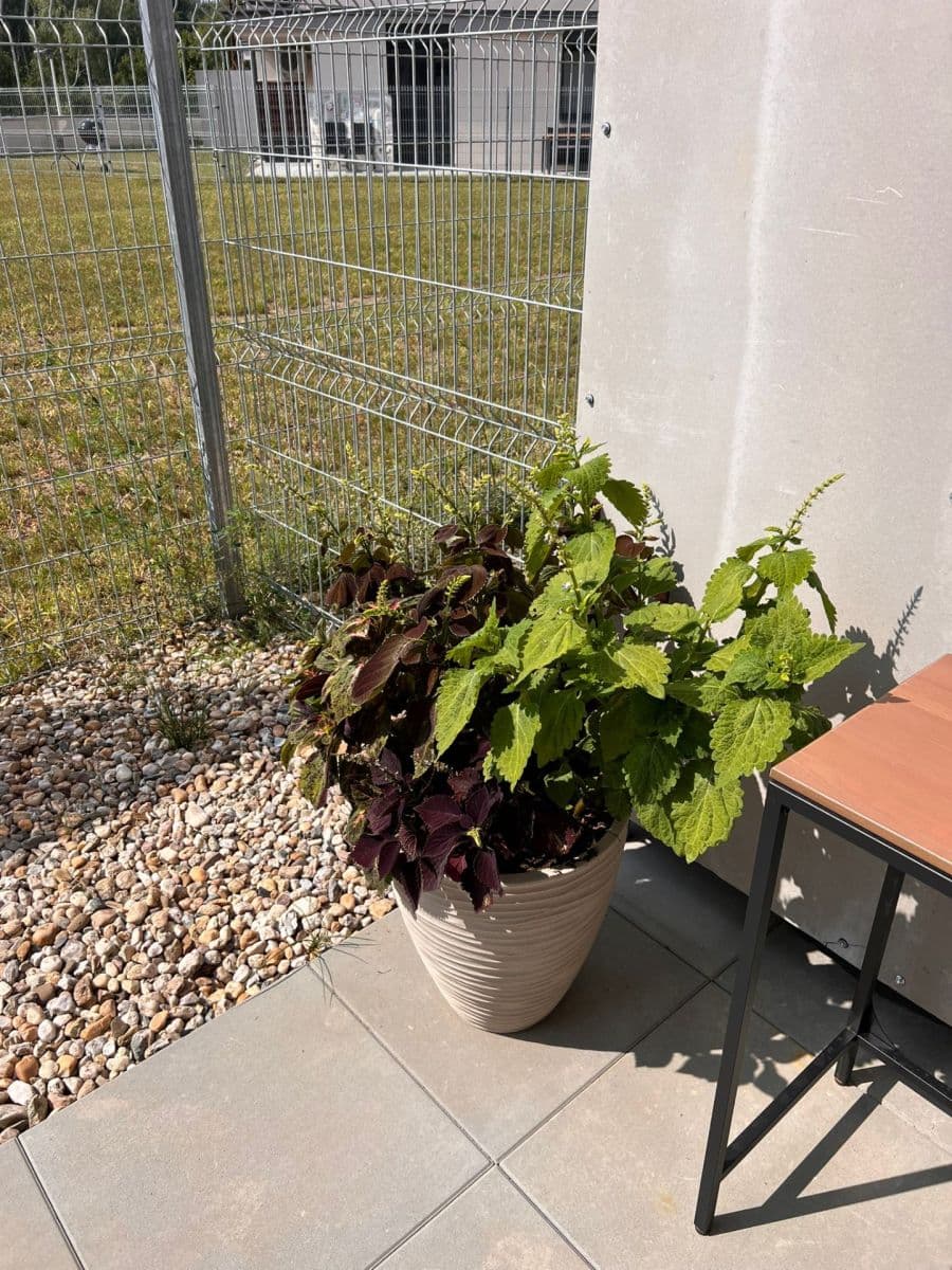 Predaj bytu 2-izbový 62 m², Augustina Lukeše, Brandýs nad Labem-Stará Boleslav, Středočeský kraj Predaj bytu 2-izbový 62 m², Augustina Lukeše, Brandýs nad Labem-Stará Boleslav, Středočeský kraj