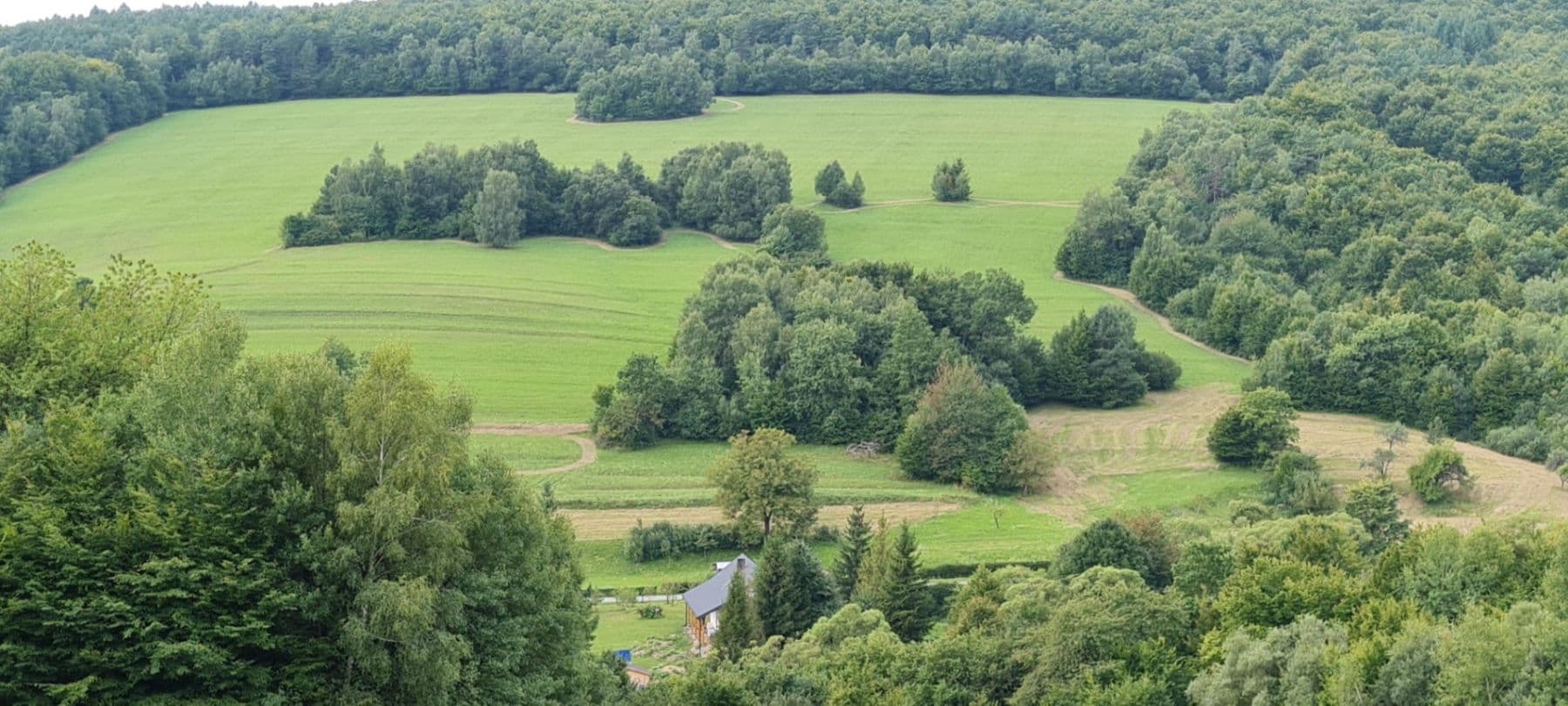 Predaj pozemku 3.131 m², Vyšná Pisaná, Prešovský kraj Predaj pozemku 3.131 m², Vyšná Pisaná, Prešovský kraj