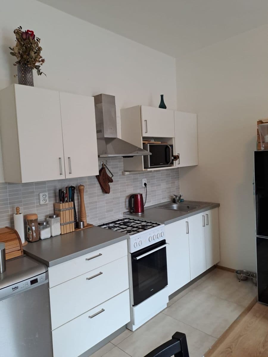 Prenájom bytu 2-izbový 49 m², Veslařská, Brno, Jihomoravský kraj Prenájom bytu 2-izbový 49 m², Veslařská, Brno, Jihomoravský kraj