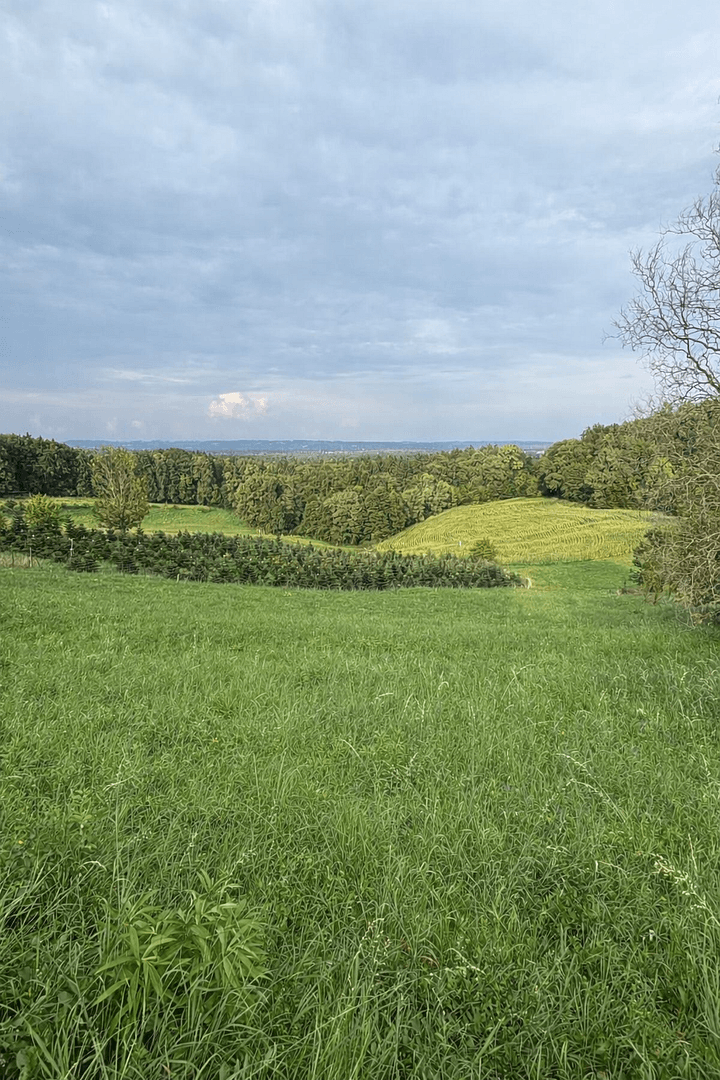 Predaj pozemku 1.375 m², Maxlonerstraße, Maxlon, Štajersko Predaj pozemku 1.375 m², Maxlonerstraße, Maxlon, Štajersko