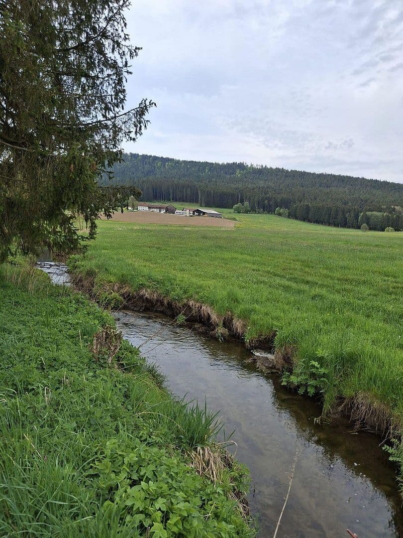 Predaj domu 144 m², pozemek 8.028 m², Regen, Bavorsko Predaj domu 144 m², pozemek 8.028 m², Regen, Bavorsko