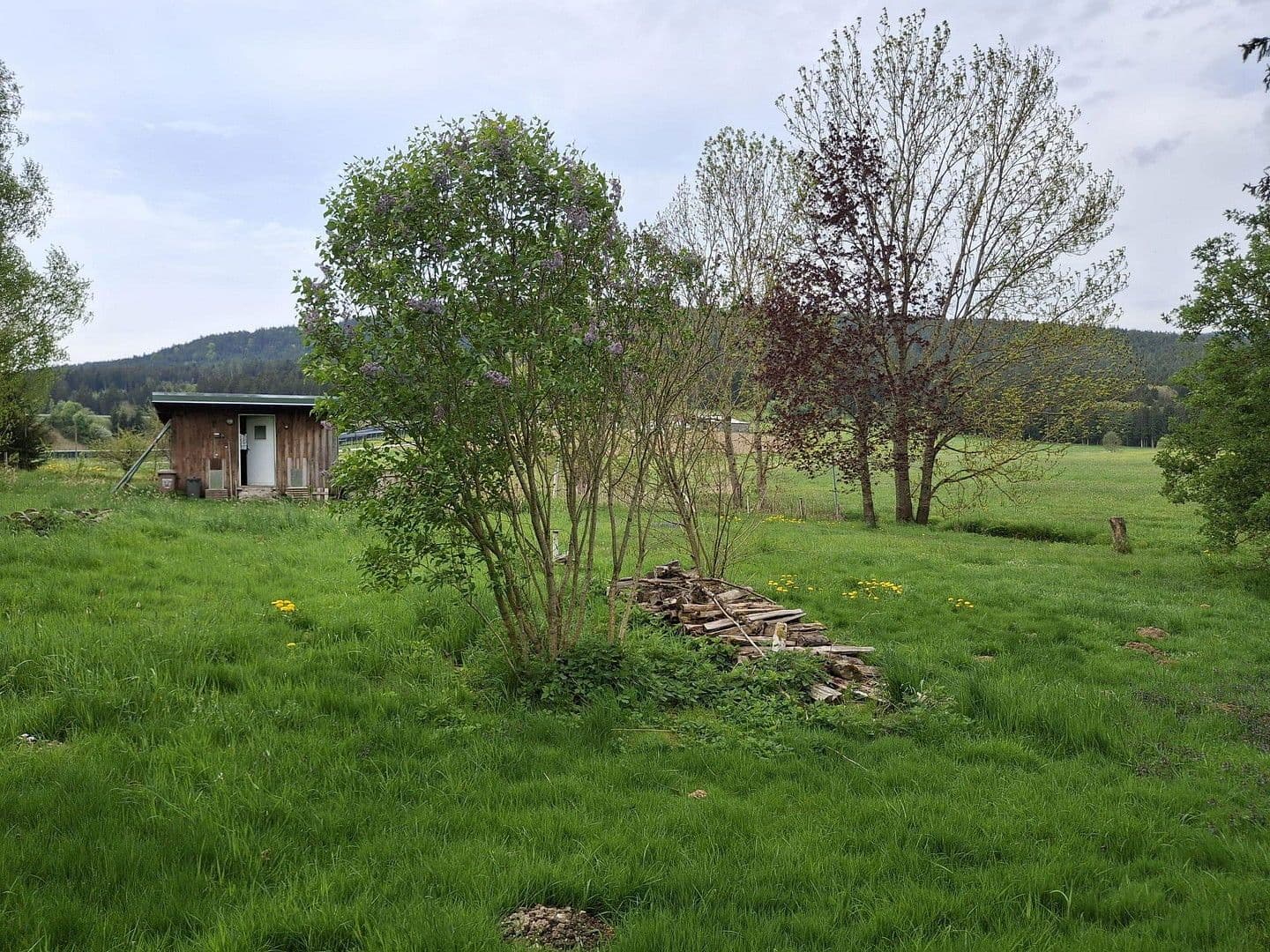 Predaj domu 144 m², pozemek 8.028 m², Regen, Bavorsko Predaj domu 144 m², pozemek 8.028 m², Regen, Bavorsko