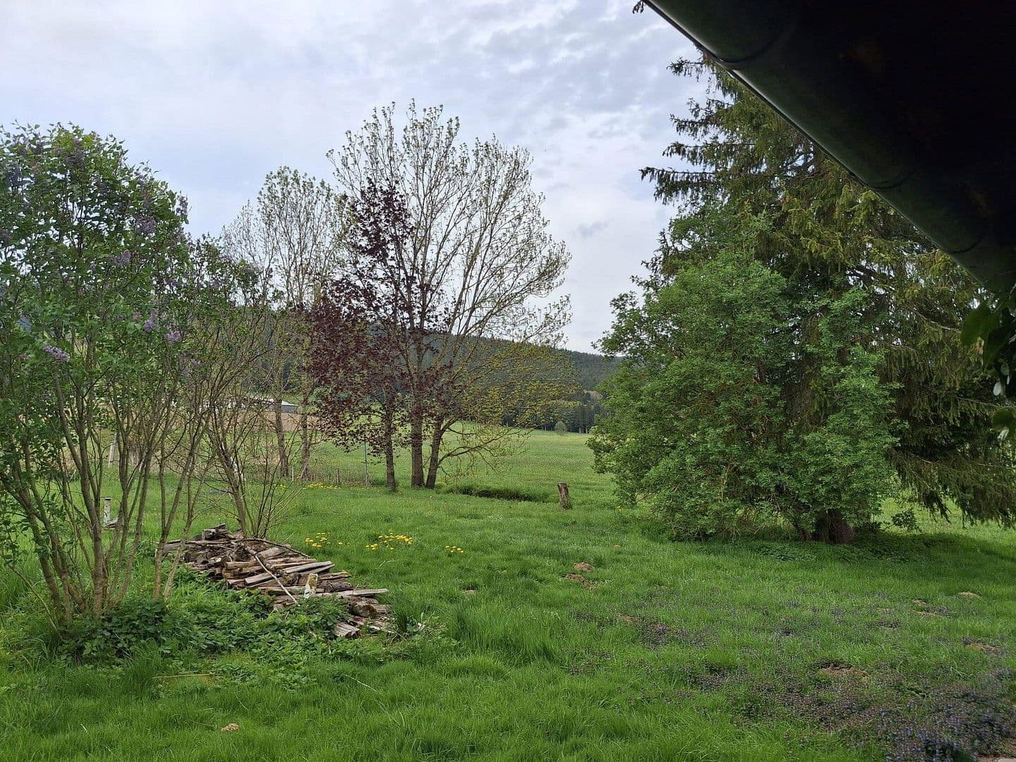 Predaj domu 144 m², pozemek 8.028 m², Regen, Bavorsko Predaj domu 144 m², pozemek 8.028 m², Regen, Bavorsko