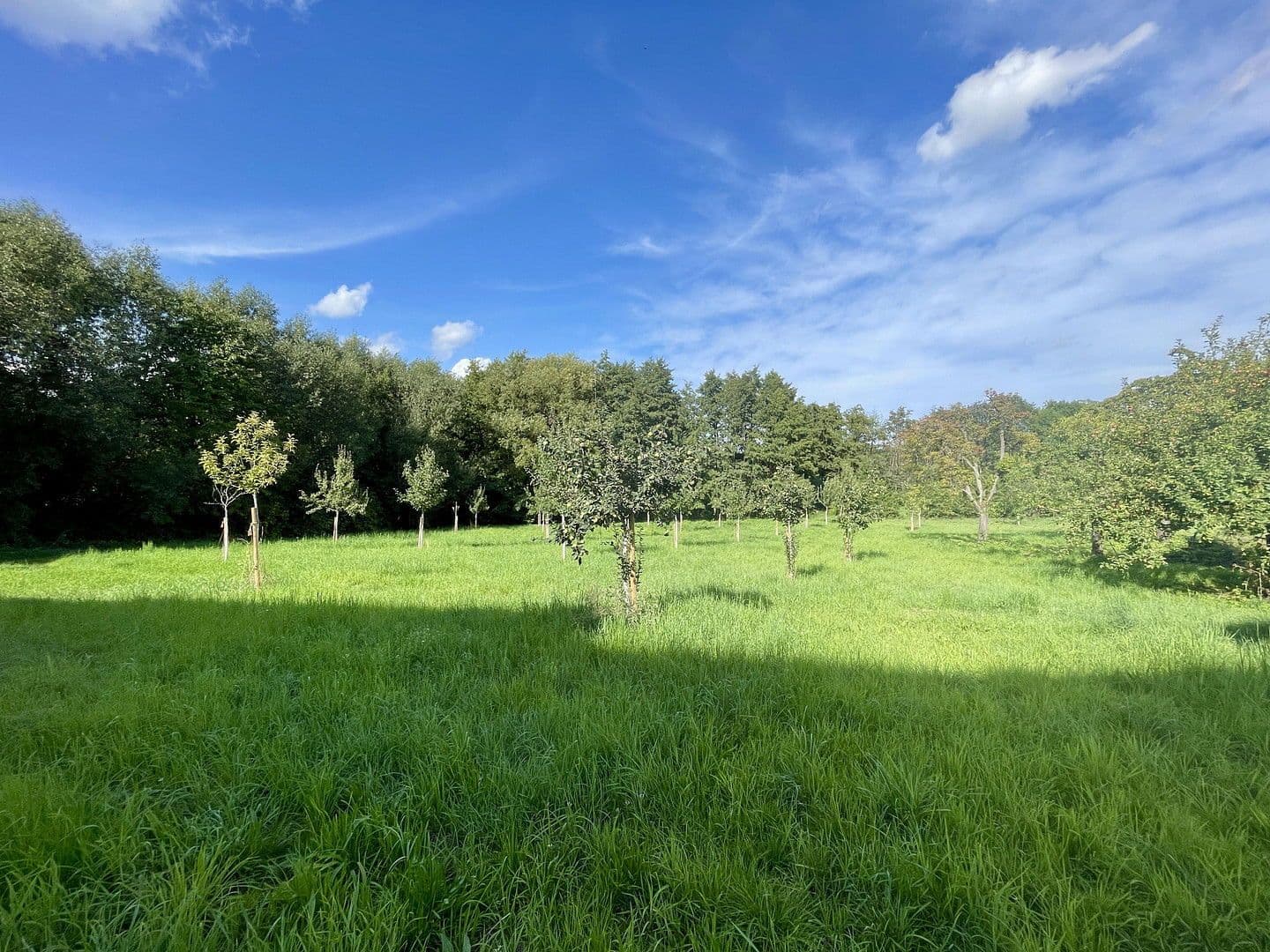 Predaj bytu 2-izbový 45 m², Kronberg im Taunus, Hesensko Predaj bytu 2-izbový 45 m², Kronberg im Taunus, Hesensko