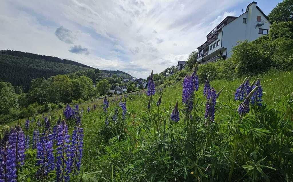 Predaj bytu 3-izbový 74 m², Schmallenberg, Severné Porýnie - Westfálsko Predaj bytu 3-izbový 74 m², Schmallenberg, Severné Porýnie - Westfálsko