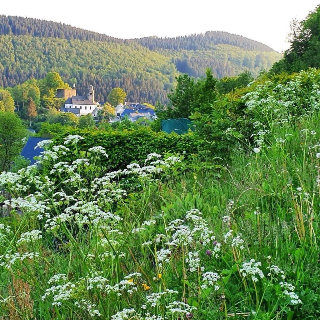 Predaj bytu 3-izbový 74 m², Schmallenberg, Severné Porýnie - Westfálsko Predaj bytu 3-izbový 74 m², Schmallenberg, Severné Porýnie - Westfálsko