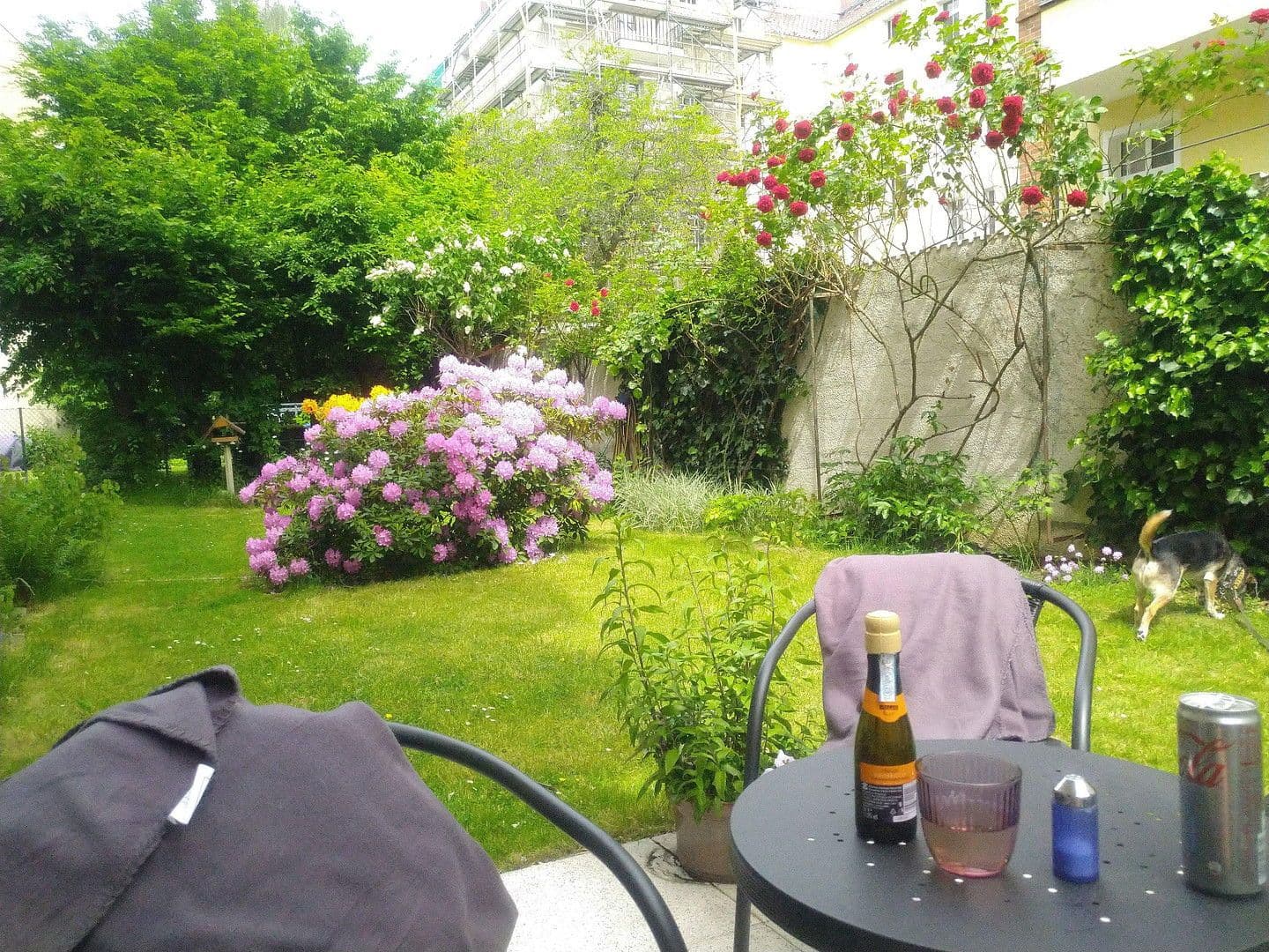 Predaj bytu 2-izbový 47 m², Berlin, Berlín Predaj bytu 2-izbový 47 m², Berlin, Berlín