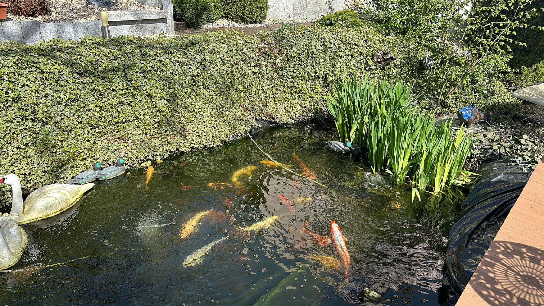 Predaj domu 387 m², pozemek 899 m², Rießstraße 20, BW, Magstadt, Bádensko-Wurttembersko Predaj domu 387 m², pozemek 899 m², Rießstraße 20, BW, Magstadt, Bádensko-Wurttembersko