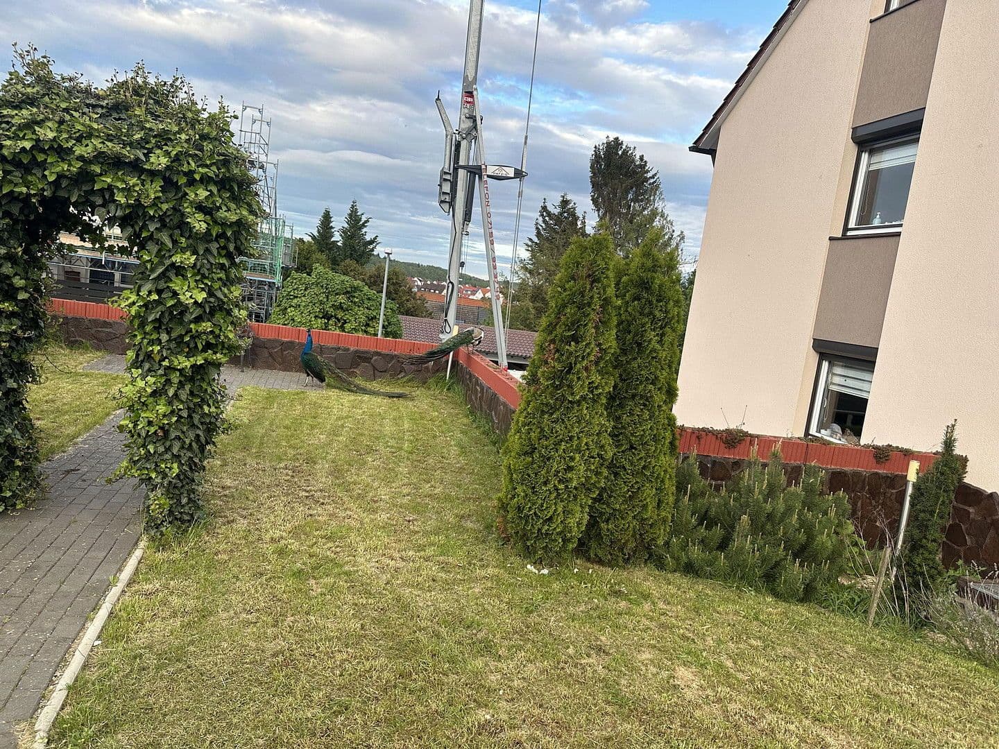 Predaj domu 387 m², pozemek 899 m², Rießstraße 20, BW, Magstadt, Bádensko-Wurttembersko Predaj domu 387 m², pozemek 899 m², Rießstraße 20, BW, Magstadt, Bádensko-Wurttembersko