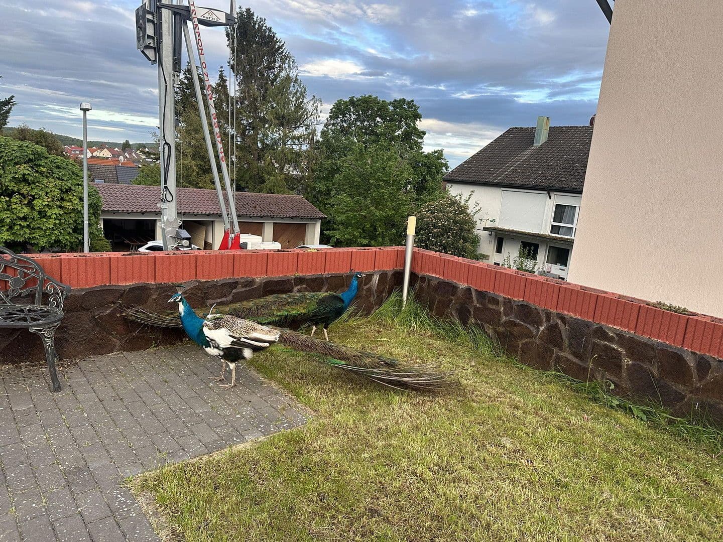 Predaj domu 387 m², pozemek 899 m², Rießstraße 20, BW, Magstadt, Bádensko-Wurttembersko Predaj domu 387 m², pozemek 899 m², Rießstraße 20, BW, Magstadt, Bádensko-Wurttembersko