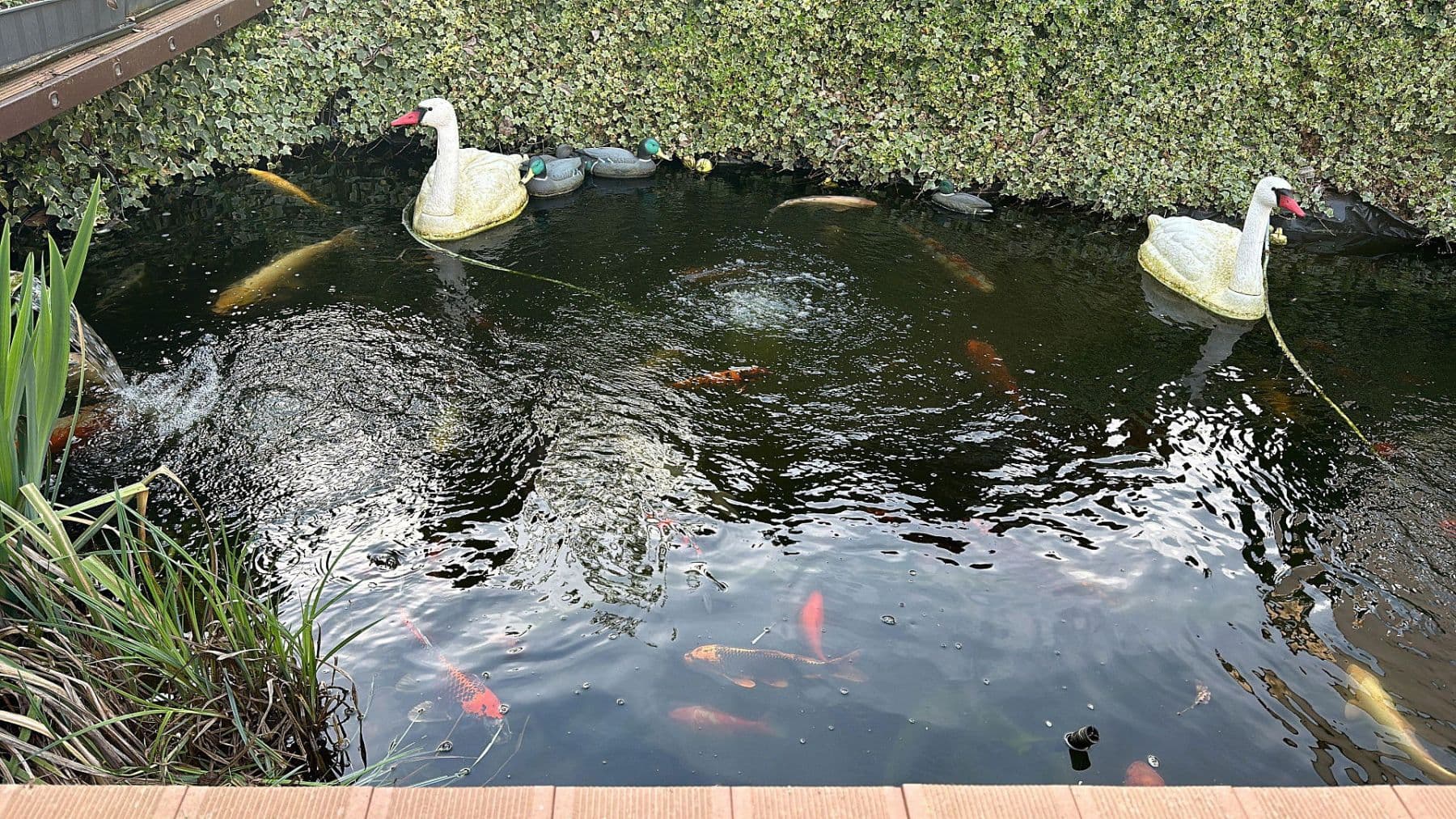 Predaj domu 387 m², pozemek 899 m², Rießstraße 20, BW, Magstadt, Bádensko-Wurttembersko Predaj domu 387 m², pozemek 899 m², Rießstraße 20, BW, Magstadt, Bádensko-Wurttembersko