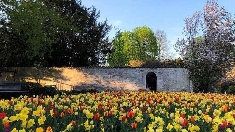 Predaj bytu 3-izbový 88 m², Maxfeldstr. 48, Nürnberg, Bavorsko Predaj bytu 3-izbový 88 m², Maxfeldstr. 48, Nürnberg, Bavorsko