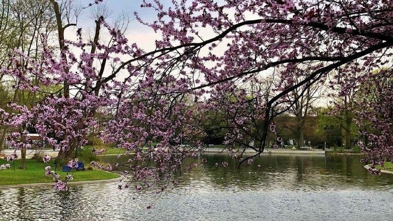 Predaj bytu 3-izbový 88 m², Maxfeldstr. 48, Nürnberg, Bavorsko Predaj bytu 3-izbový 88 m², Maxfeldstr. 48, Nürnberg, Bavorsko