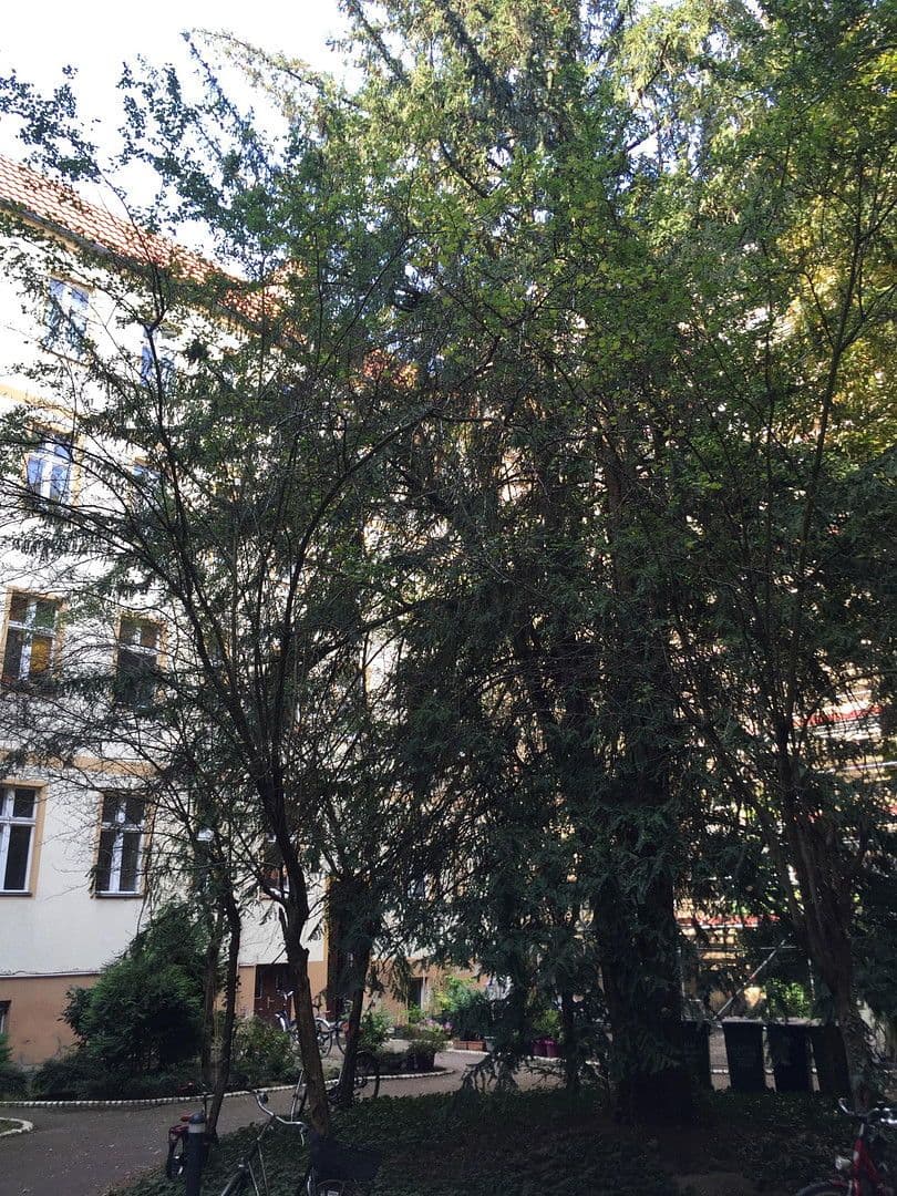 Predaj bytu 1-izbový 40 m², Haupstraße 77, Berlin, Berlín Predaj bytu 1-izbový 40 m², Haupstraße 77, Berlin, Berlín