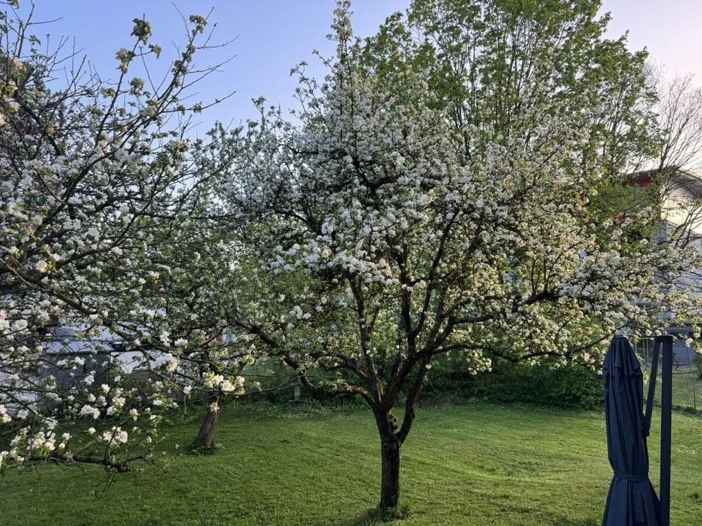 Predaj domu 262 m², pozemek 1.050 m², Von-der-Tann-Straße 3a, Rosenheim, Bavorsko Predaj domu 262 m², pozemek 1.050 m², Von-der-Tann-Straße 3a, Rosenheim, Bavorsko