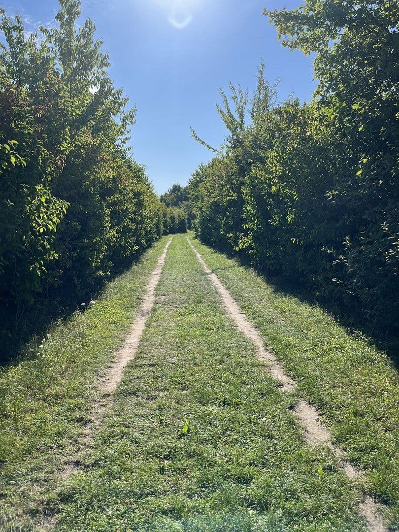 Predaj domu 128 m², pozemek 150 m², Hannover, Dolné Sasko Predaj domu 128 m², pozemek 150 m², Hannover, Dolné Sasko