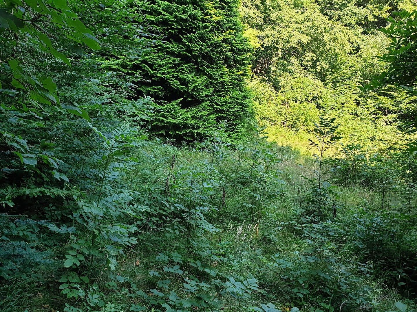 Predaj pozemku 1.200 m², Wien, Viedeň Predaj pozemku 1.200 m², Wien, Viedeň