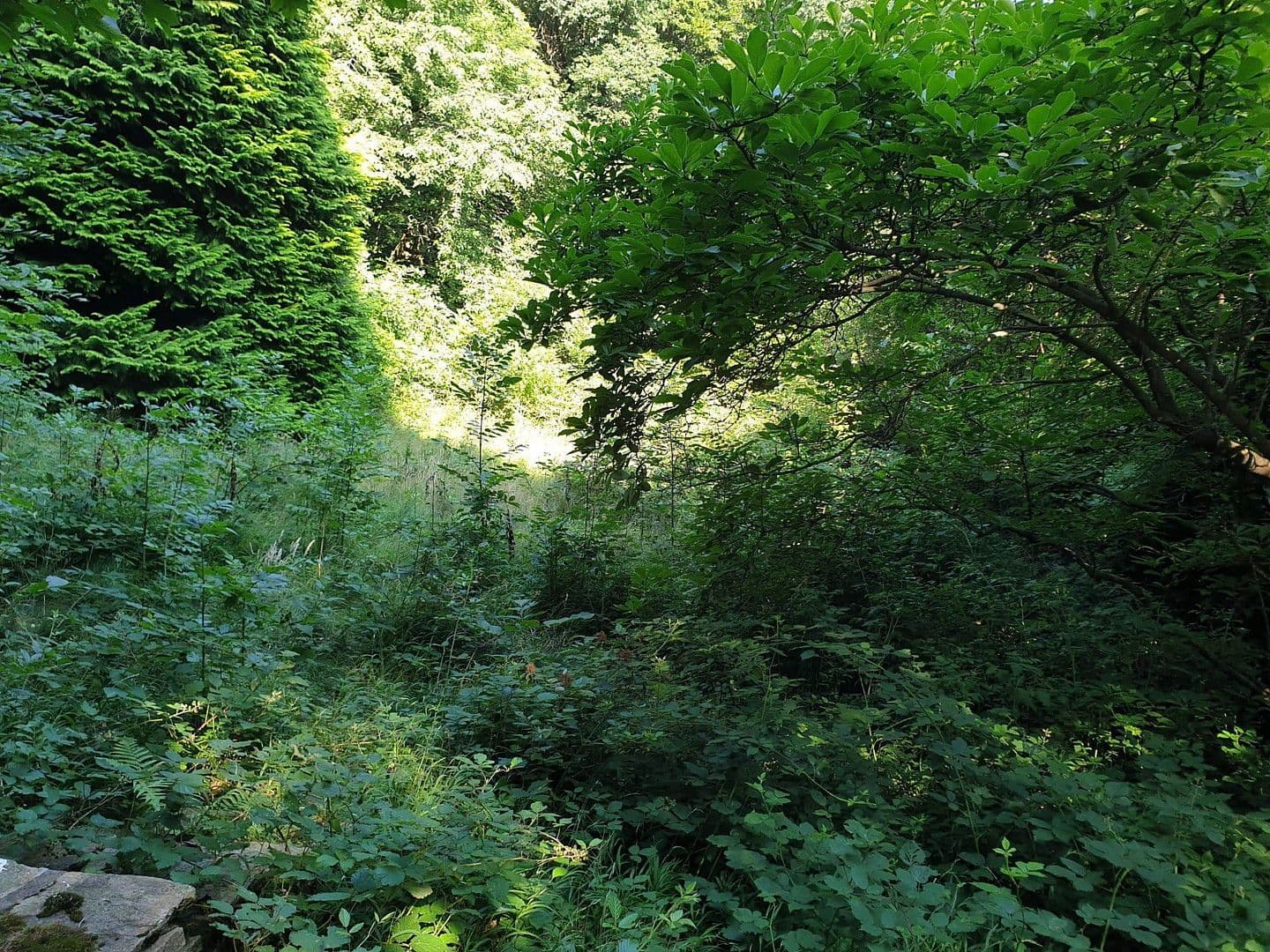 Predaj pozemku 1.200 m², Wien, Viedeň Predaj pozemku 1.200 m², Wien, Viedeň