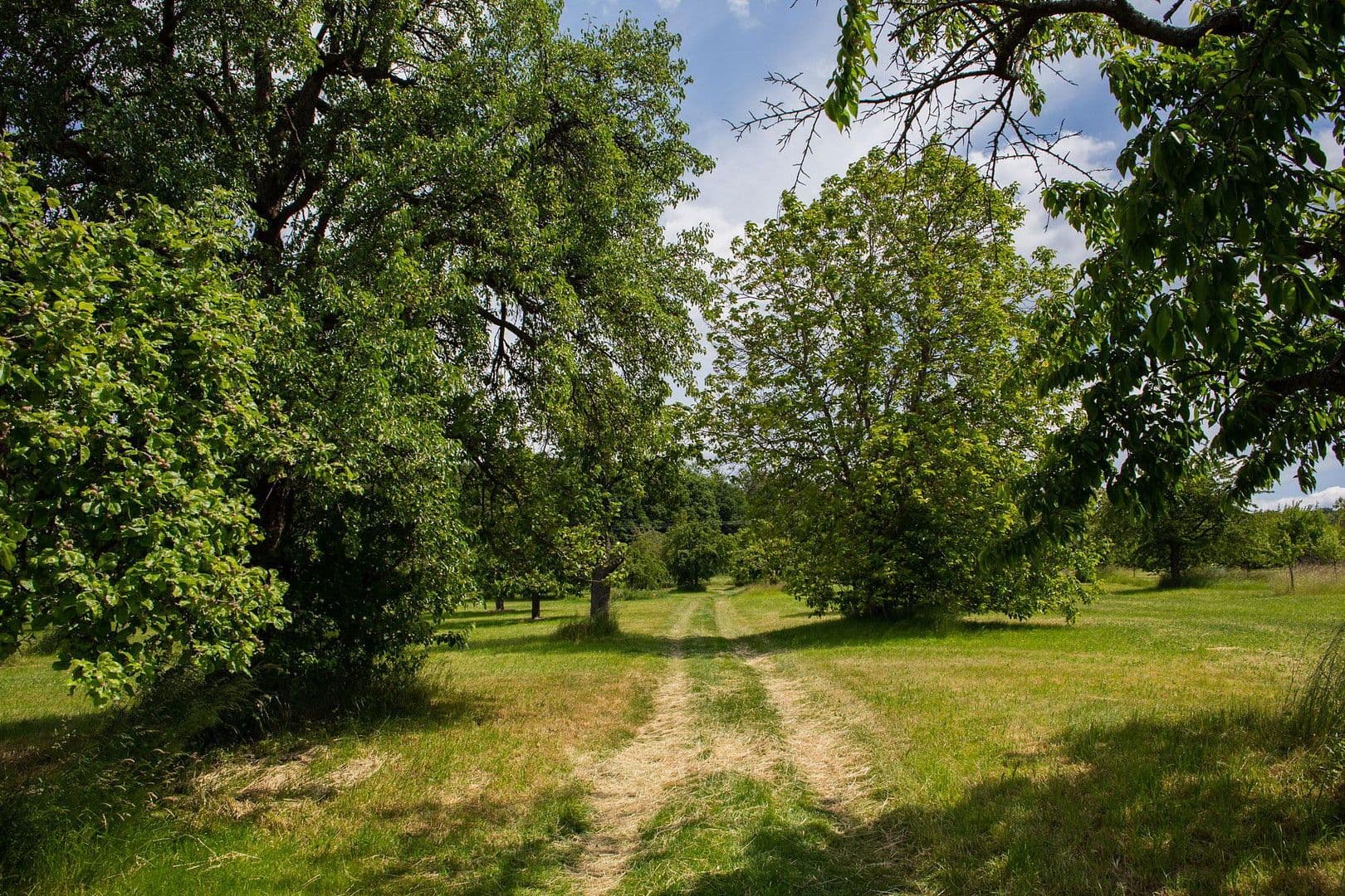 Prenájom bytu 1-izbový 74 m², Neuenbürg, Bádensko-Wurttembersko Prenájom bytu 1-izbový 74 m², Neuenbürg, Bádensko-Wurttembersko
