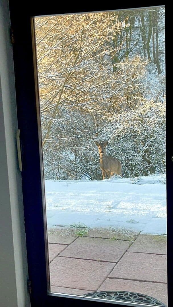 Prenájom domu 90 m², pozemek 1.700 m², Bad Soden am Taunus, Hesensko Prenájom domu 90 m², pozemek 1.700 m², Bad Soden am Taunus, Hesensko
