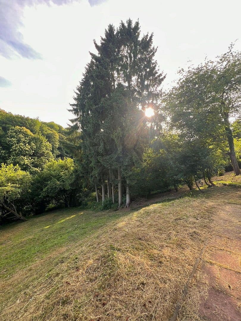 Prenájom domu 90 m², pozemek 1.700 m², Bad Soden am Taunus, Hesensko Prenájom domu 90 m², pozemek 1.700 m², Bad Soden am Taunus, Hesensko