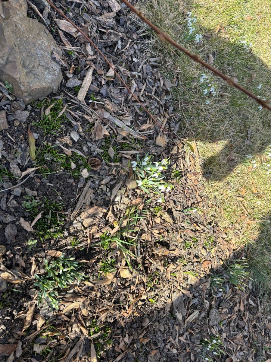 Prenájom bytu 3-izbový 80 m², Aloise Jiráska, Příbram, Středočeský kraj Prenájom bytu 3-izbový 80 m², Aloise Jiráska, Příbram, Středočeský kraj