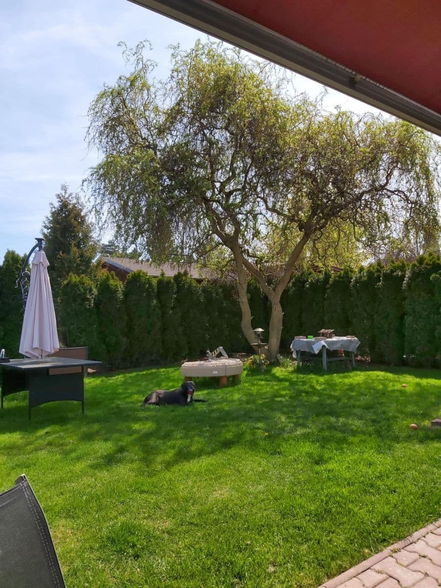 Predaj domu 107 m², pozemek 600 m², U Potoka, Mukařov, Středočeský kraj Predaj domu 107 m², pozemek 600 m², U Potoka, Mukařov, Středočeský kraj